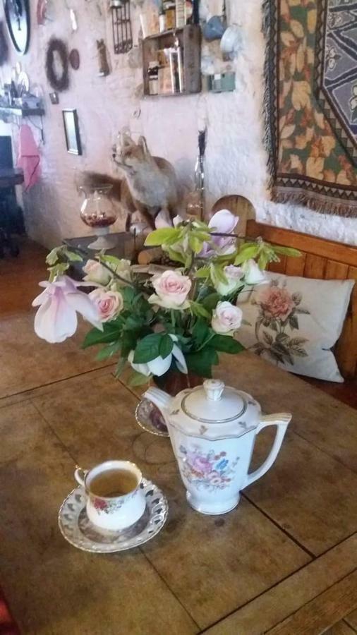 De Snoeperij Bed & Breakfast Dirksland Bagian luar foto